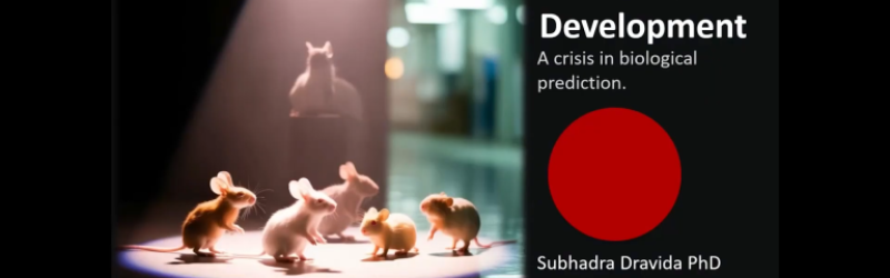 Can-We-Replace-Animal-Testing-A-Biotech-Founder-Faces-the-Den-Drug-Diaries-1080p-h264.00_00_04_09.Still002-768×432 Can-We-Replace-Animal-Testing-A-Biotech-Founder-Faces-the-Den-Drug-Diaries-1080p-h264.00_00_04_09.Still002-768x432
